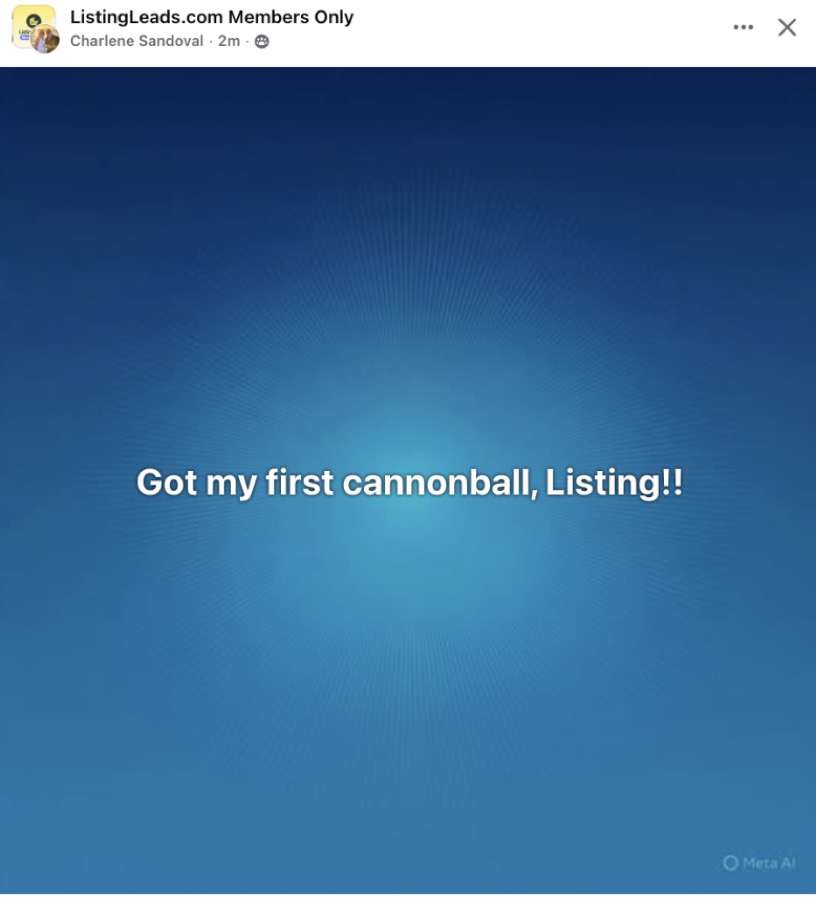 Listing Leads member success story